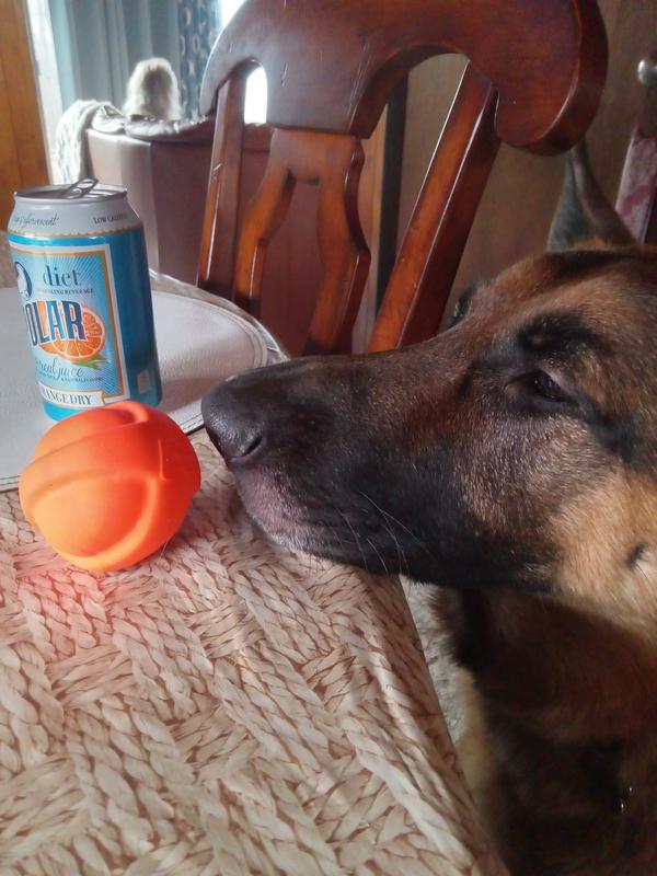 He wants me to throw it!