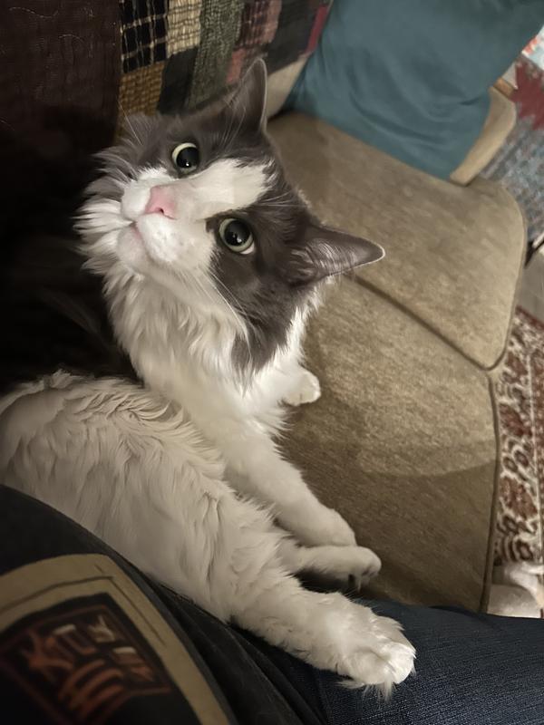 Stink by name, Stink by nature.