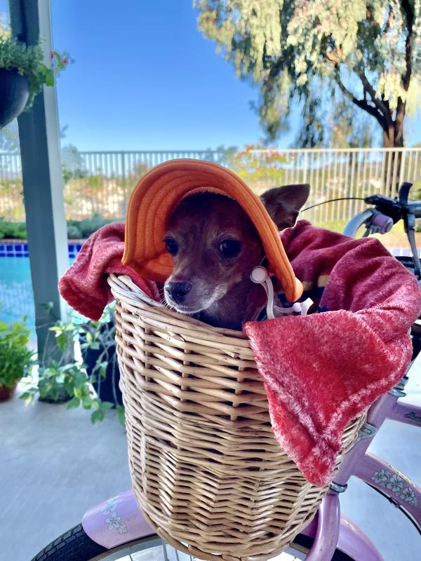 Thumper and his sunhat