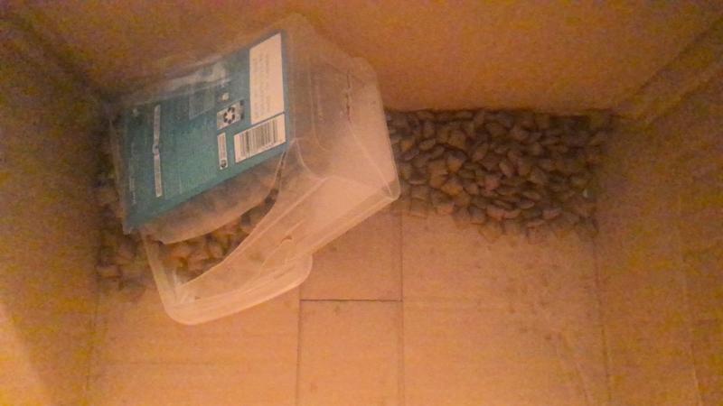 bad shipping decisions