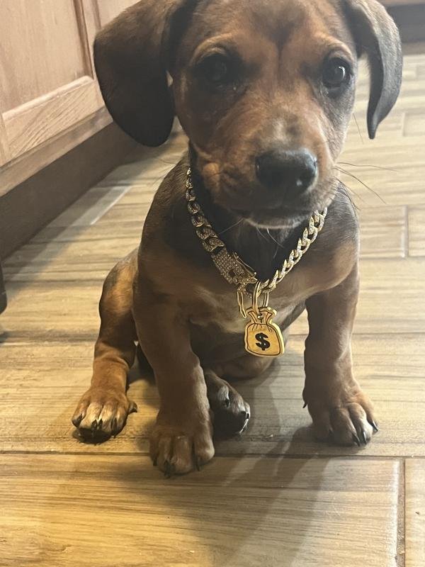 Cholo 🖤