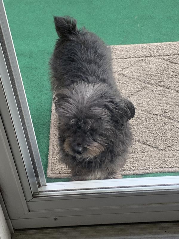 Ready to come inside