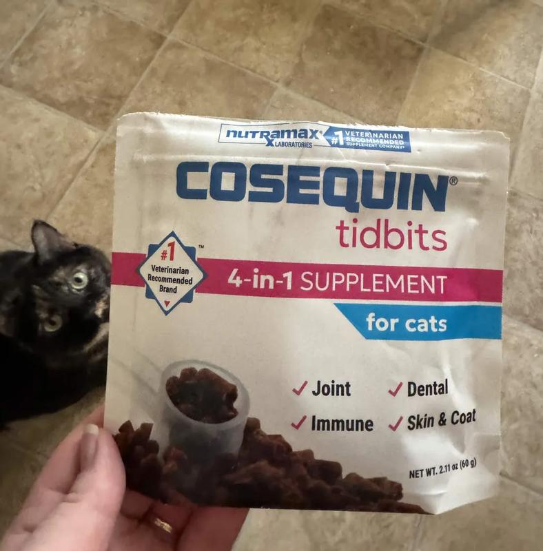 My cats knocked over the bag and chewed holes in the bag trying to break into it