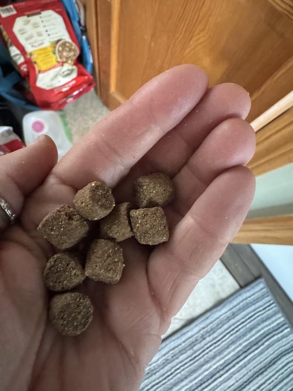 Nice large size pieces!!