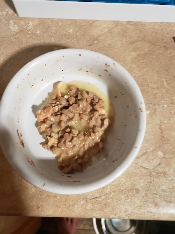 This is how we started