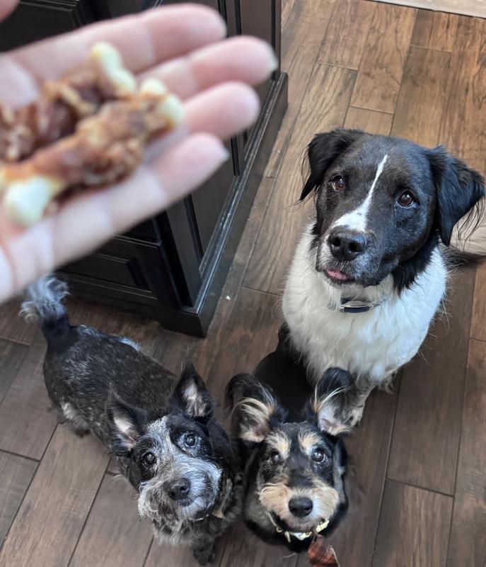 All of them are excited to get their bone