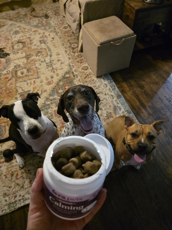 Will sit for snacks!