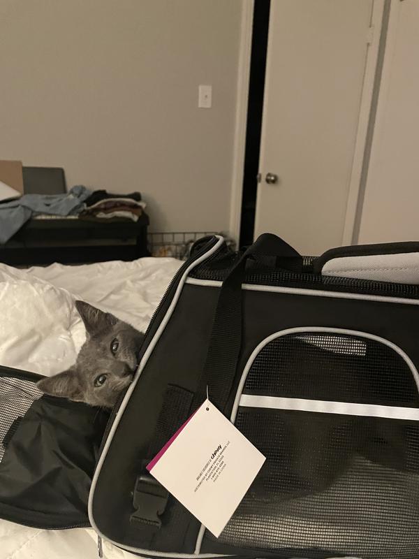 Junebug quality testing