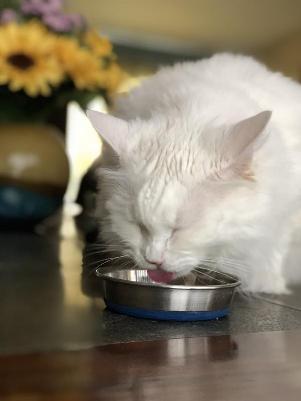 Jasmine says it’s yummy