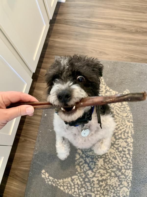 This smells pretty good!