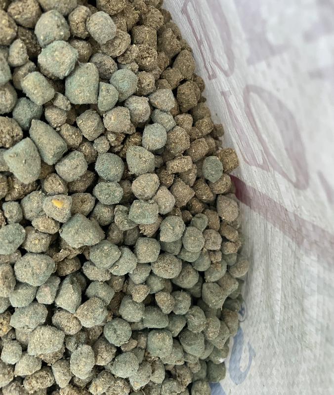 Mold can kill a horse!  Total Equine should have recalled this feed once they found out thislot was affected by a broken fan during production ( this is what Chewy told me). Lot 25148 best by date 05/28/26