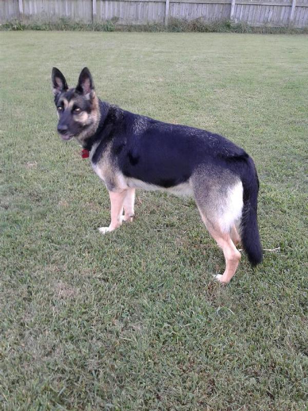 Looking for squirrels!