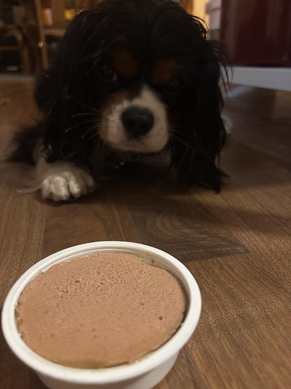 Waiting patiently for her treat!