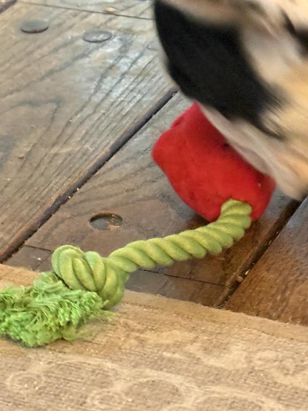 This is a perfect carry all bag that has several fun toys inside.