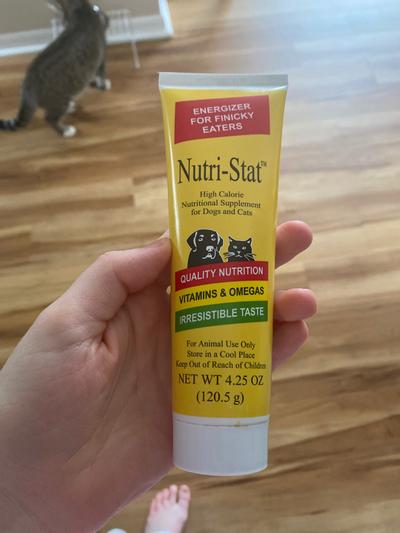 Nutristat store for dogs