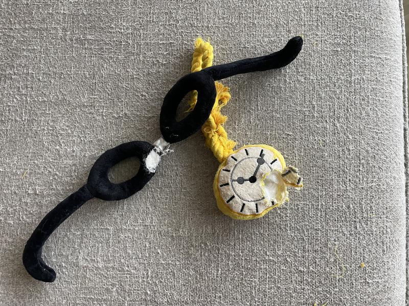 Destroyed within 20 minutes