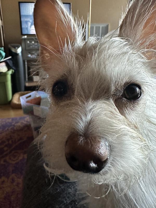 After using the wipes.