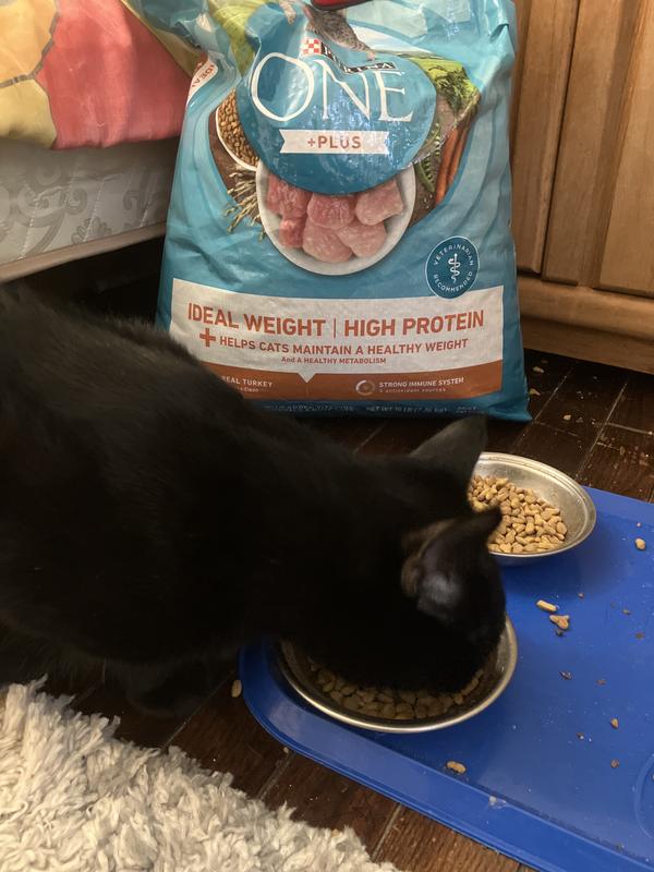 PURINA ONE Plus Ideal Weight Natural High Protein Adult Dry Cat