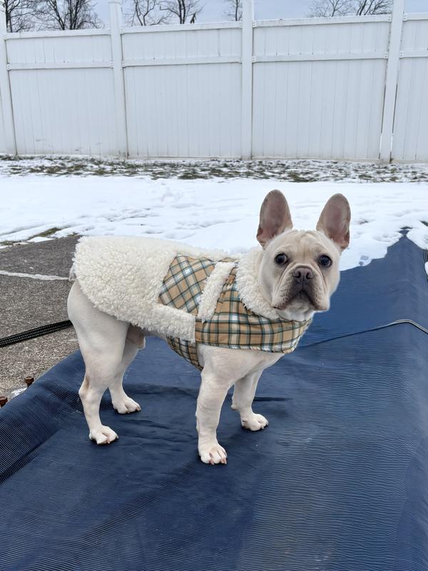 Animal Crossing Bulldog Jackets FRISCO Lightweight Plaid Pocket