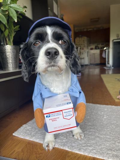 Hello! You have a delivery!