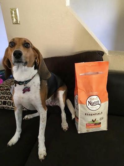 Roxanne Loves It!!!