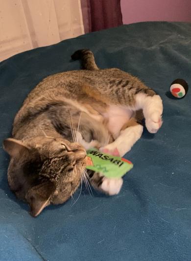 The wasabi is a big hit