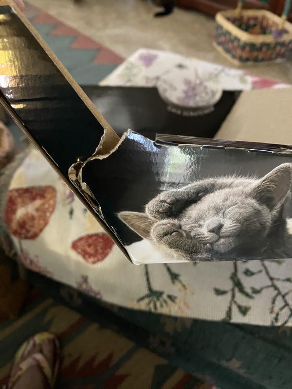 OMEGA PAW Ripple Board Scratch Massage Cat Bed