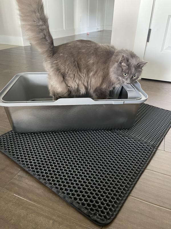 Cats love it - My kitty couldn’t even wait until it was set up to get in it!