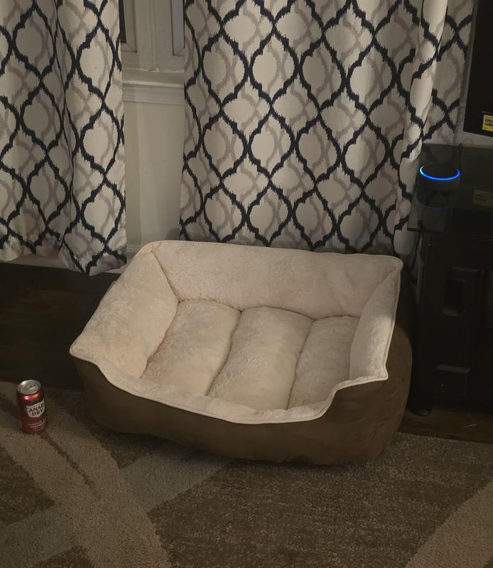 Comfy!!!  Might get myself one!