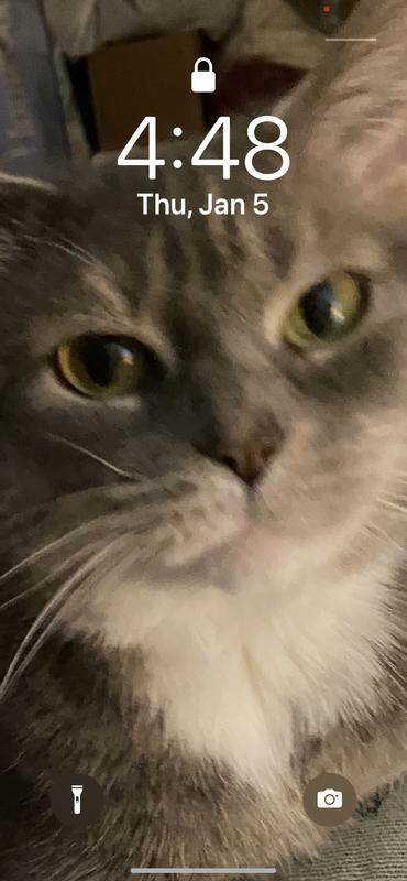 Pretty please I want my turkey.