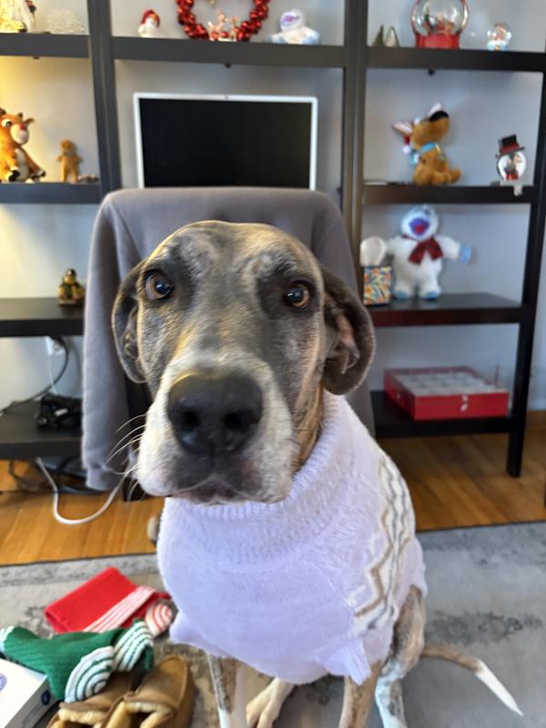 Look how pretty she is in purple.