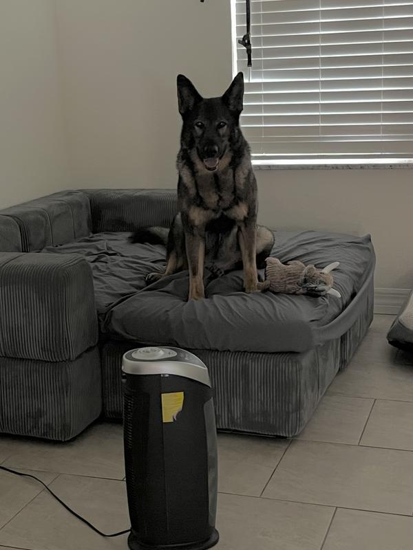 They take it everywhere