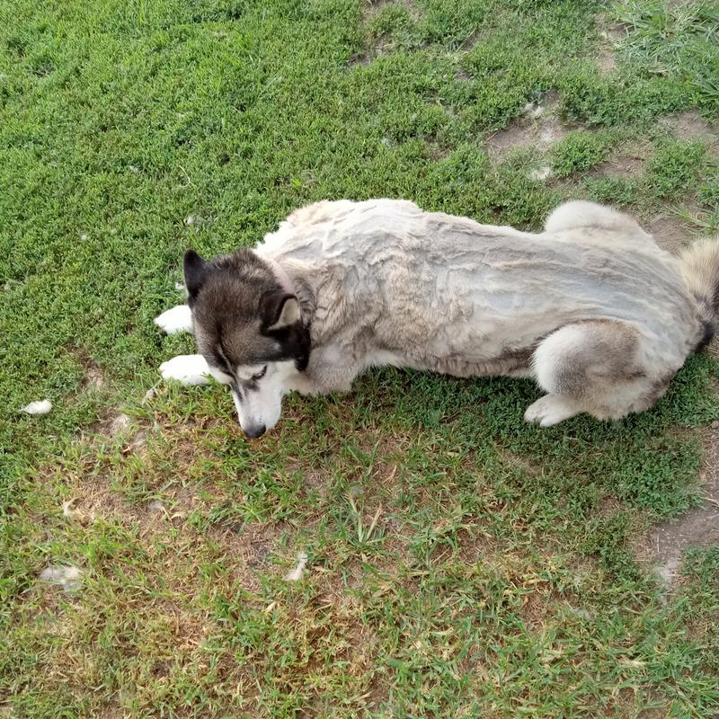 Not to bad for a first timer