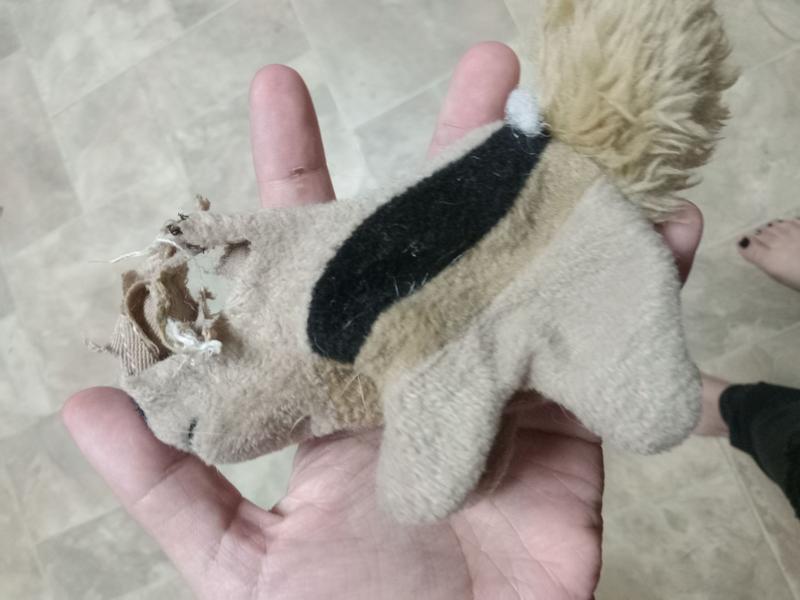 Outward Hound Hide-A-Squirrel Squeaky Puzzle Plush Dog Toy - Hide and Seek  Activity for Dogs XL Squirrel