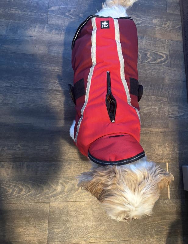 Two way zipper for attaching leash to harness