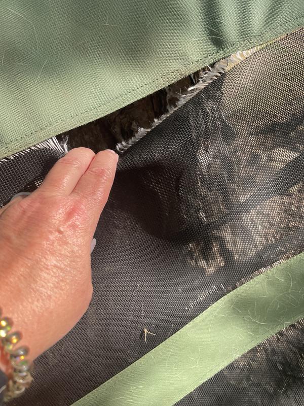 Shoes it ripped completely apart at the seams.