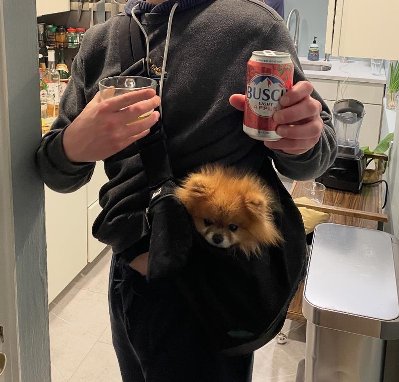 Sling fits small dog