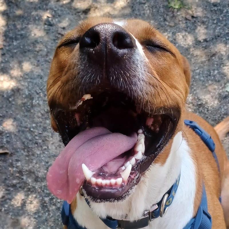 Jack and his friends love these.