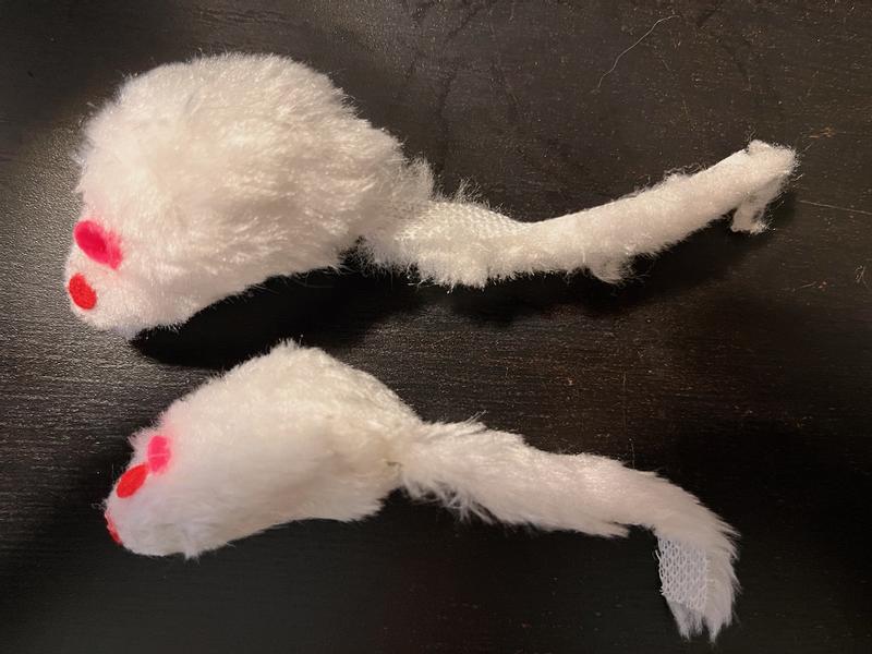 Underweight Mouse