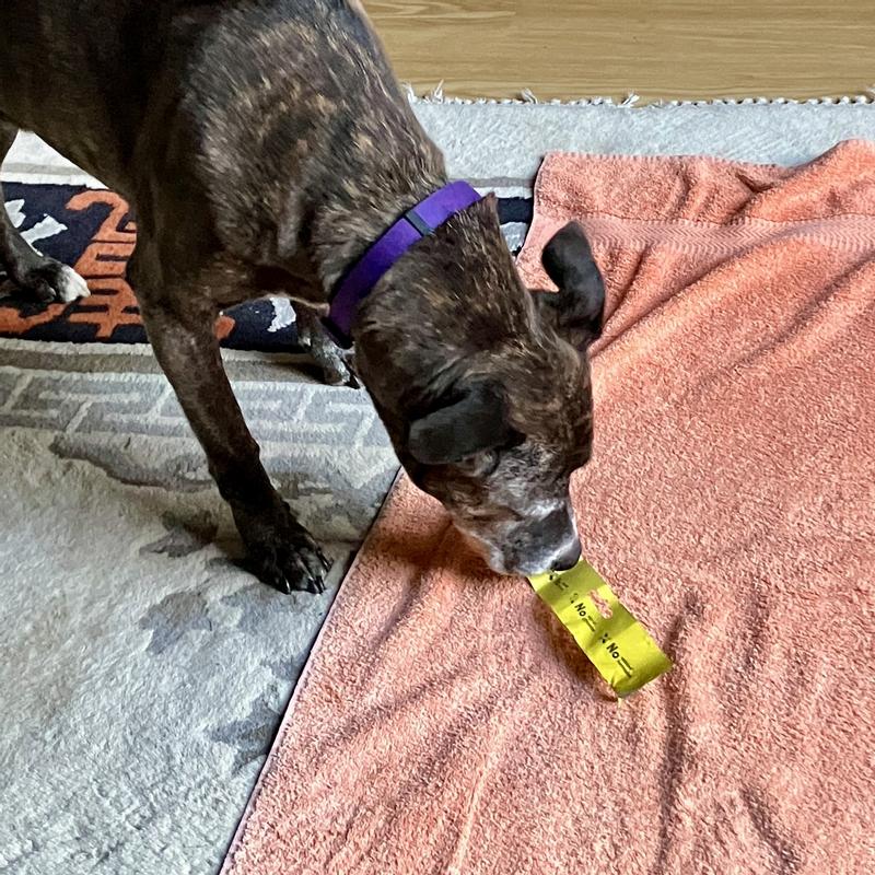 Loving that tear strip!