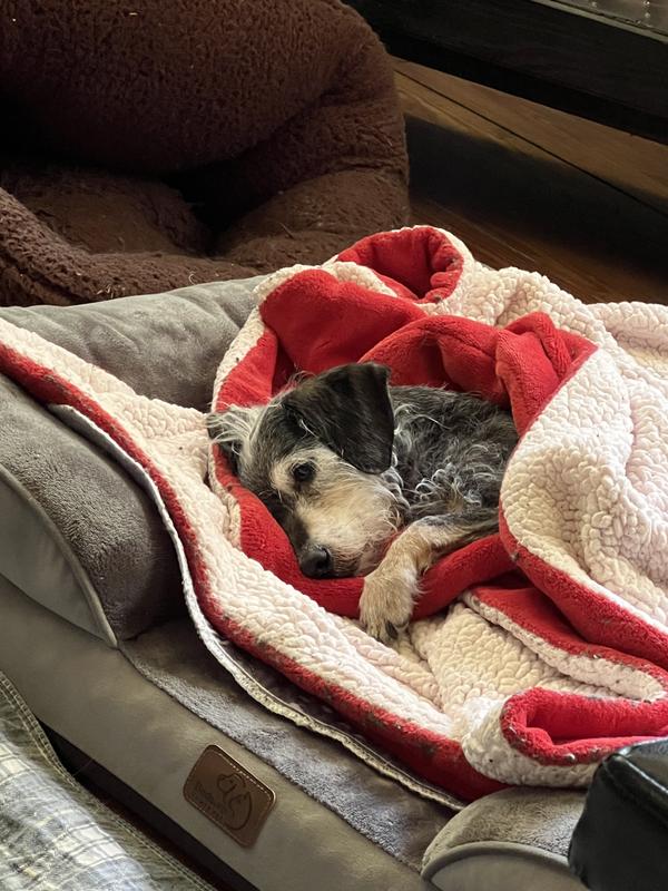 The princess resting.