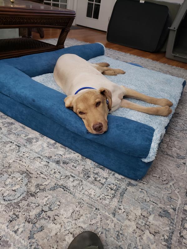 Jax being comfortable