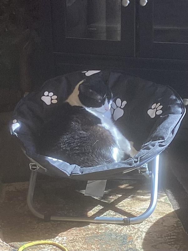 Our youngest is enjoying it