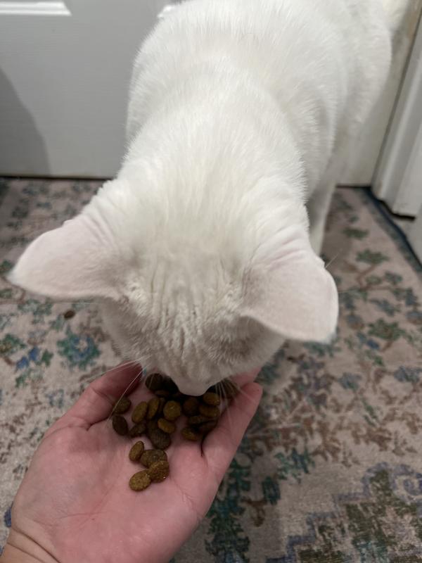 Cece received no compensation for her review, just more food…