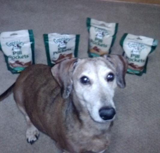 Oscar Can't Wait for his Next RX Dose!