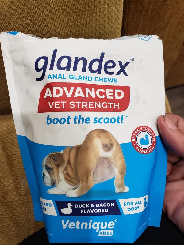 Glandex for hot sale dogs reviews