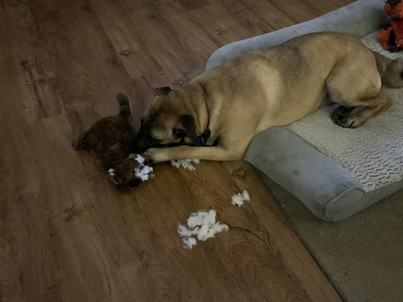 Gunnar said hold my beer.