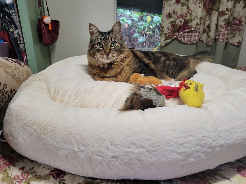 How fat do you think I am mom?