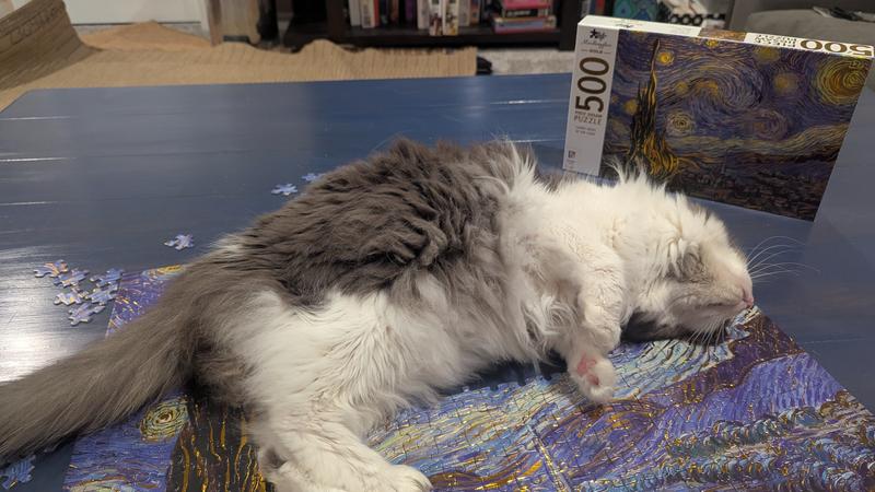 Chloride loves puzzles