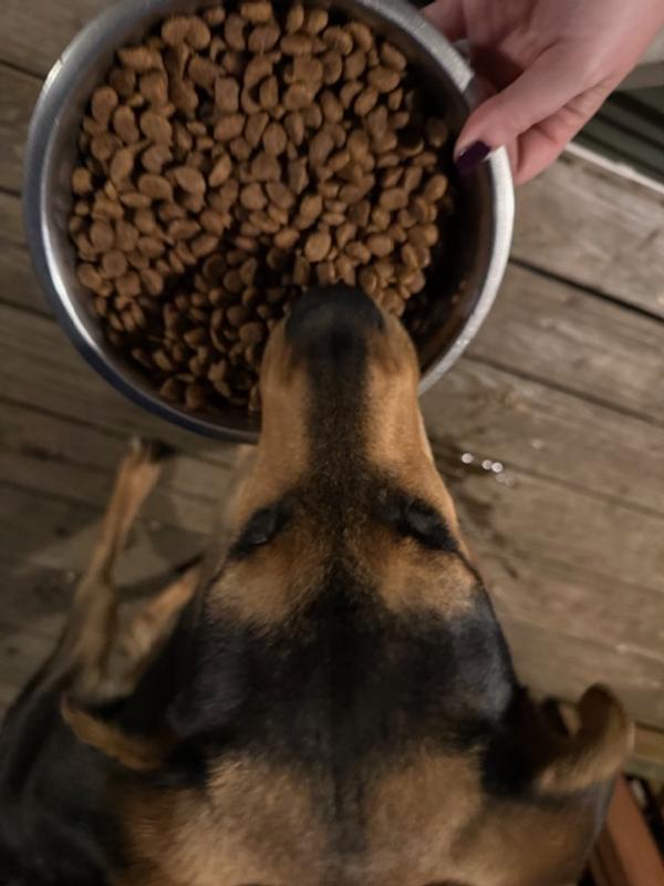 My dog is silly and will only eat outside, so the lighting is darker. Same dog food!